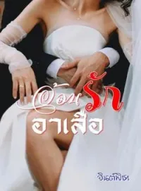 ภาพปกนิยาย อ้อนรักอาเสือ