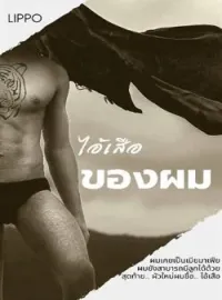 ภาพปกนิยาย ไอ้เสือของผม