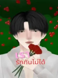 ภาพปกนิยาย เรารักกันไม่ได้