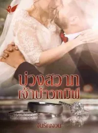 ภาพปกนิยาย บ่วงสวาทเจ้าบ่าวทมิฬ