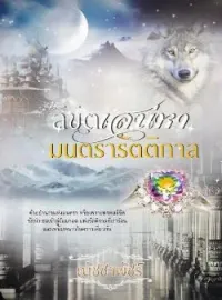ภาพปกนิยาย ลิขิตเสน่หามนตรารัตติกาล