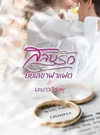 ภาพปกนิยาย สลับรักยัยเลขาฝาแฝด