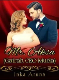 Sampul Novel MR. AKSA