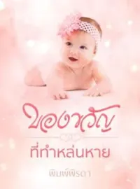 ภาพปกนิยาย ของขวัญที่ทำหล่นหาย