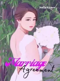 Sampul Novel Marriage Agreement