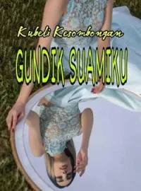 Sampul Novel Kubeli Kesombongan, Gundik Suamiku