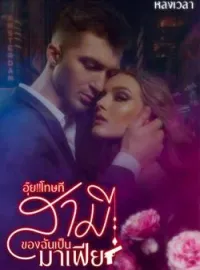 ภาพปกนิยาย อุ๊ย!!โทษที สามีของฉันเป็นมาเฟีย