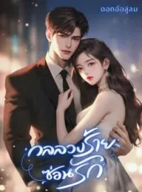 ภาพปกนิยาย กลลวงร้ายซ่อนรัก