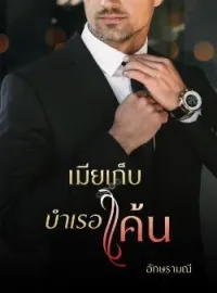 ภาพปกนิยาย เมียเก็บบำเรอแค้น