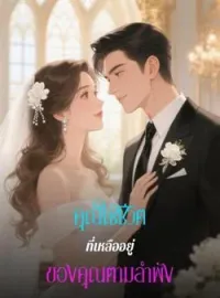 ภาพปกนิยาย คุณใช้ชีวิตที่เหลืออยู่ของคุณตามลำพัง