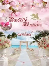 ภาพปกนิยาย ลิขิตรักสื่อเสน่หา