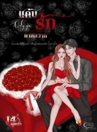ภาพปกนิยาย แค้นรักทาสสวาท
