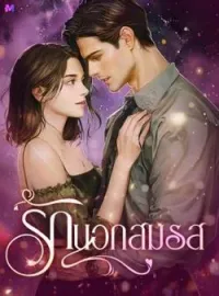 ภาพปกนิยาย รักนอกสมรส