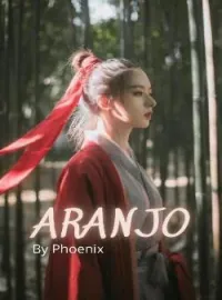 Sampul Novel ARANJO
