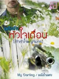 ภาพปกนิยาย เพลิงรักหัวใจเถื่อน รีไรท์