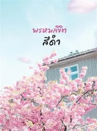 ภาพปกนิยาย พรหมลิขิตสีดำ