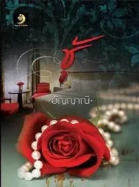 ภาพปกนิยาย ชู้