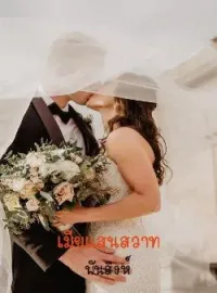 ภาพปกนิยาย เมียสวาท
