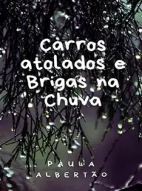 Capa do Romance Carros atolados e brigas na chuva