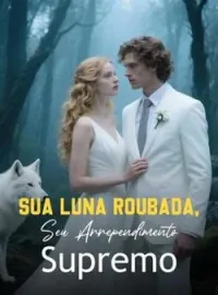 Capa do Romance Sua Luna Roubada, Seu Arrependimento Supremo