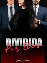 Capa do Romance Dividida por Eles